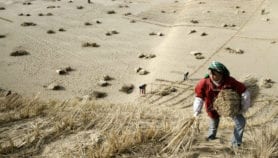 Drylands face 4°C warming under Paris Agreement goal