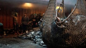 Flota pesquera china amenaza recursos en países en desarrollo