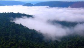 Amazonía：La Ciencia Puede Ayudar A Frenar Deterioro，Pero no Sola