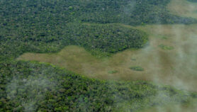 Panel de científicos busca evitar colapso de Amazonía
