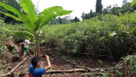 contecnología卫星pueblosindígenasAmazónicos降低了Deforestación