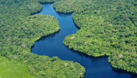 Amazonia, menos resiliente ante eventos extremos