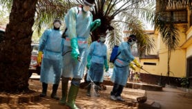 西太平洋集埃博拉行动计划,其他疾病