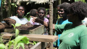 COVID-19 bans hit women’s access to water in Pacific Islands