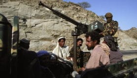 在也门阿拉伯茶种植燃料粮食危机