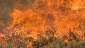 。净Podcast: Online wildfire fighters and more