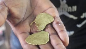 加纳的黄金挖掘者：他们可以合法化吗？