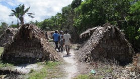 马达加斯加：一个危害的自然庇护所