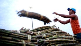 Method that cuts sugarcane emissions gets global prize