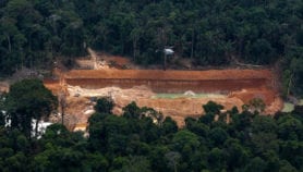 巴西在全球森林的减少驱动器增加