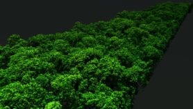 LIDAR地图亚马逊森林砍伐的碳排放