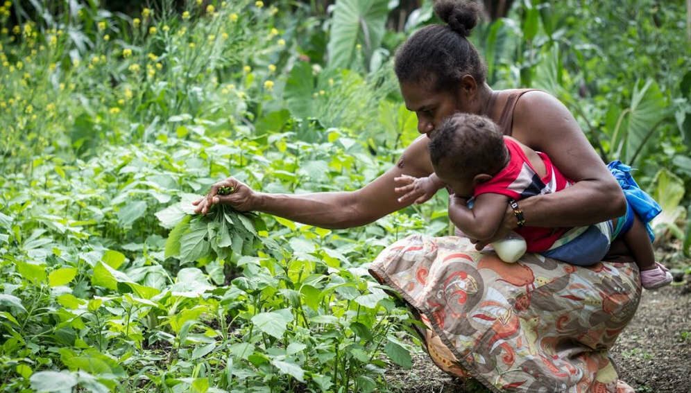 Vanuatu mother n baby in garden