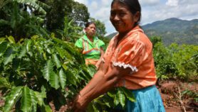 Smallholder farmers sow the seeds of COP27