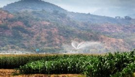 “وابور”ترصدإنتاجيةالمياهفيالزراعة