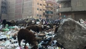 تجريب منظومة إلكترونية لرصد القمامة وإزالتها في مصر
