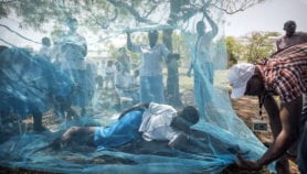社区项目新的疟疾病例减少94%