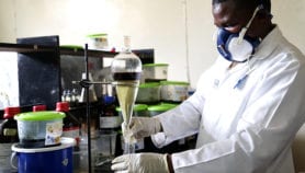 Kenyan uncovers antituberculosis plants