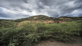 Tackle invasive species to restore degraded landscapes