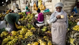 Food safety projects in Africa benefiting donor nations