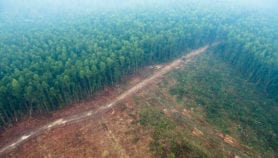 全球森林恢复热点识别