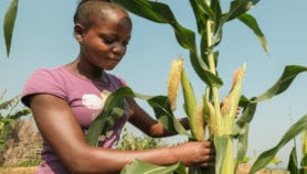 非洲的年轻农业企业家培养未来“class=