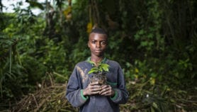 A third of Africa’s plants ‘under threat of extinction’“class=