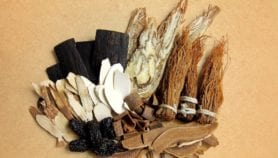 Africa pushes for COVID-19 traditional medicine R&D“class=