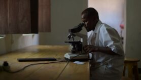 新的镰状细胞和重症疟疾发现之间的联系