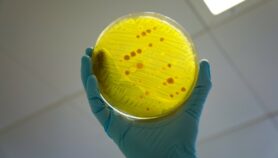 超级细菌的“健康威胁”
