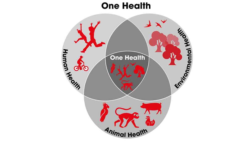 The One Health approach